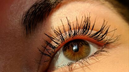Beste 10 budget mascaras onder de 15 euro